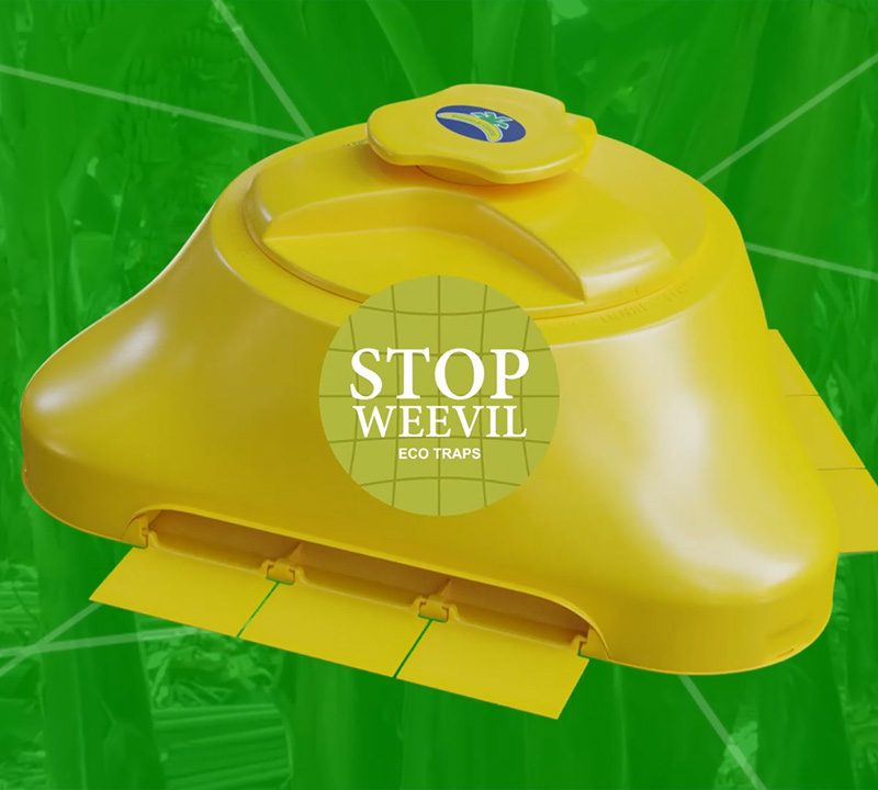 Vicedo Martí Presenta Stop Weevil: Una Innovadora Trampa Ecológica
