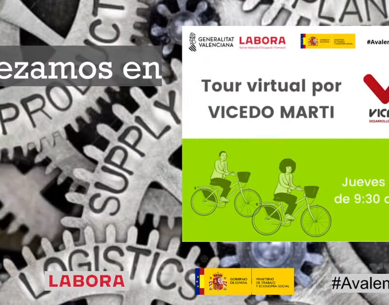 Tour Virtual Vicedo Marti